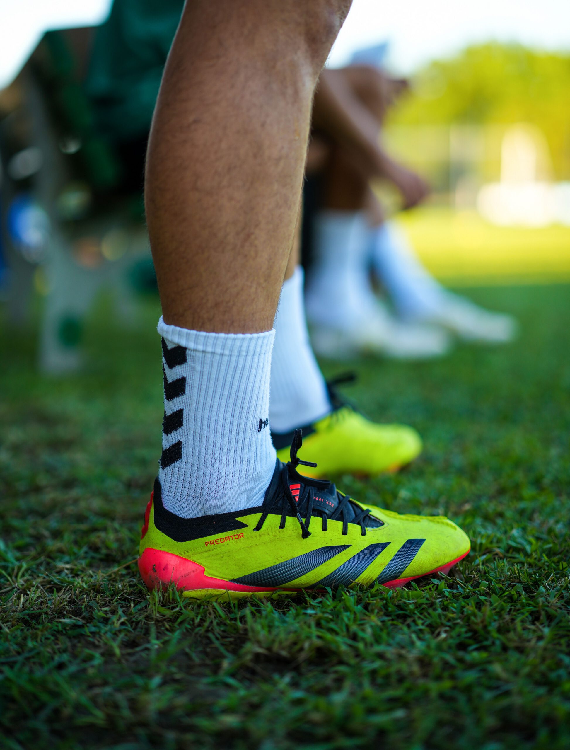 pexels-photo-32962876.jpeg